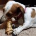 Are Rawhide Bones Safe For Dogs?